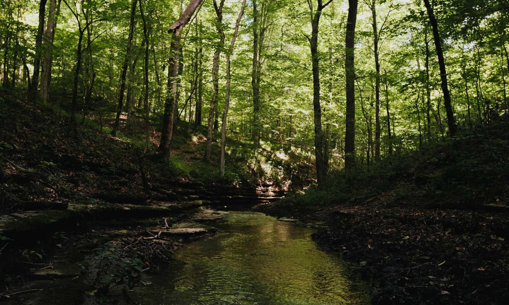 Experience Nature in Tennessee