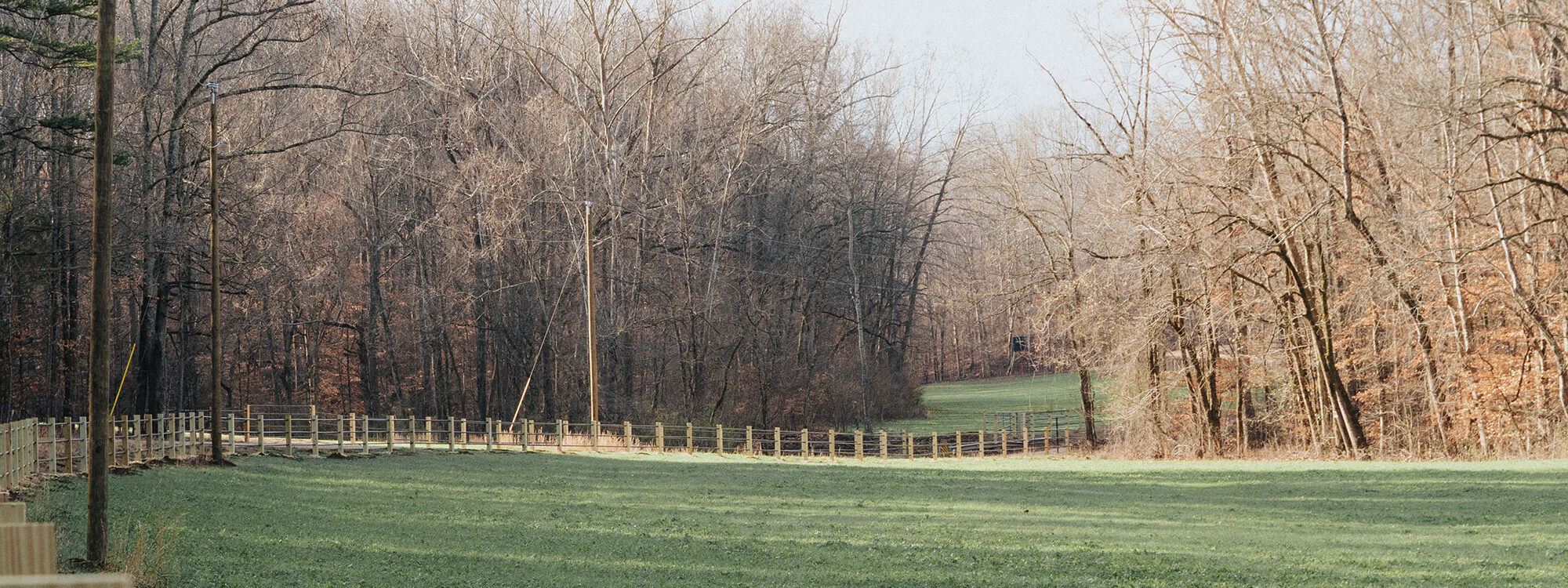 Tennessee Upland Bird Hunts