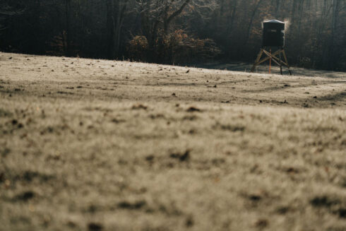 Whitetail Deer Hunting at White Oak Falls Tennessee