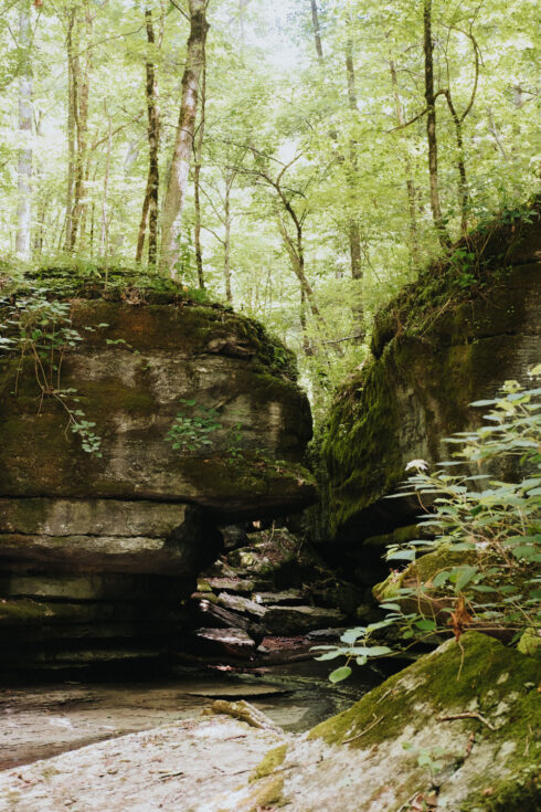 Hunting at White Oak Falls Tennessee