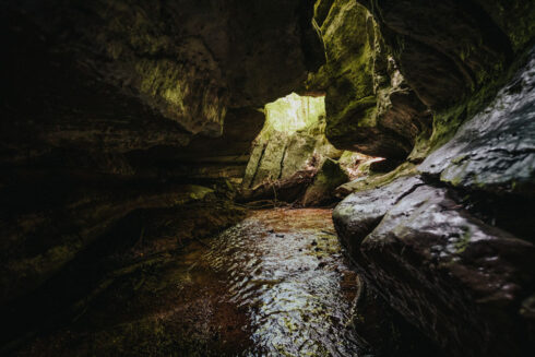 Nature at White Oak Falls Tennessee