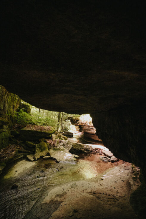 Nature at White Oak Falls Tennessee