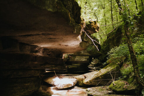 Nature at White Oak Falls Tennessee
