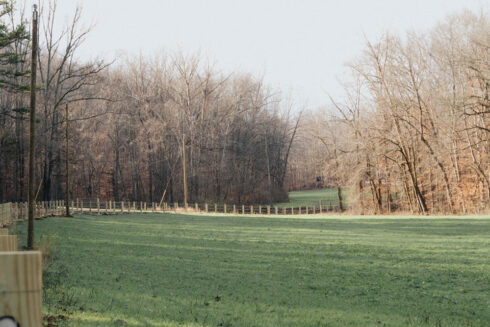 White Oak Falls Tennessee