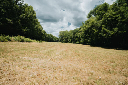 Hiking at White Oak Falls Tennessee