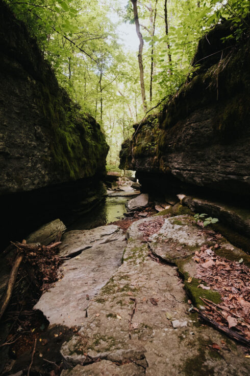 Outdoor Adventure Hiking at White Oak Falls Tennessee