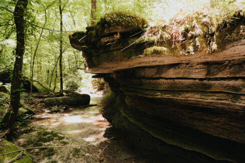 Hiking at White Oak Falls Tennessee
