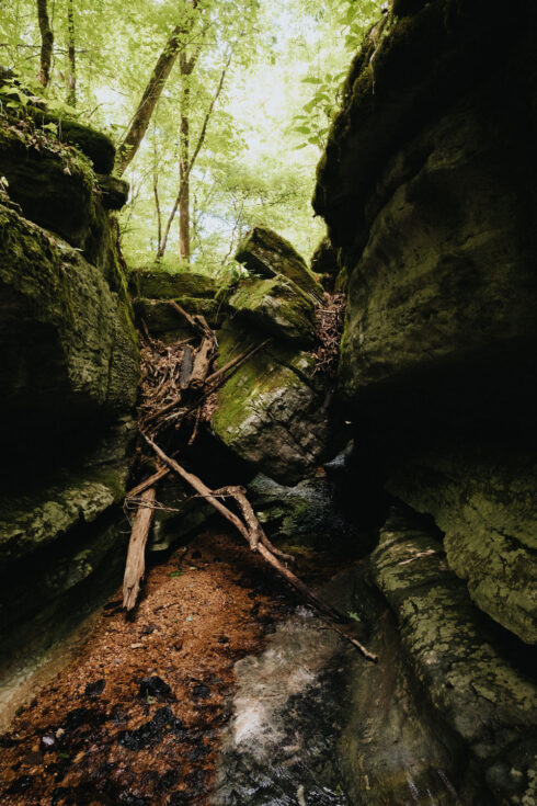 Nature at White Oak Falls Tennessee