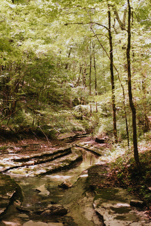 Hiking at White Oak Falls Tennessee