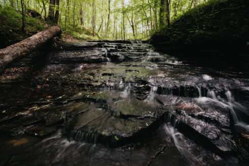 Nature at White Oak Falls Tennessee