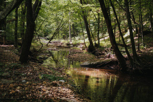 Hiking at White Oak Falls Tennessee