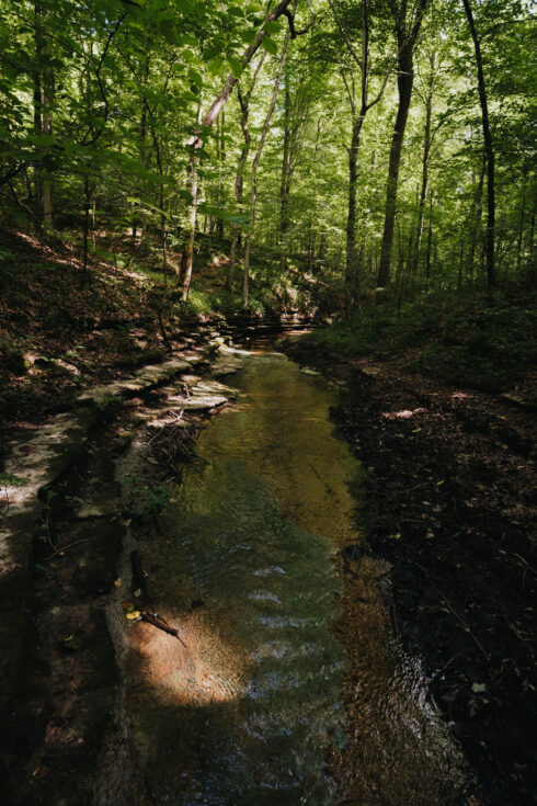 Hiking at White Oak Falls Tennessee