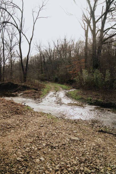 Hiking at White Oak Falls Tennessee