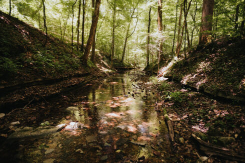 Hiking at White Oak Falls Tennessee
