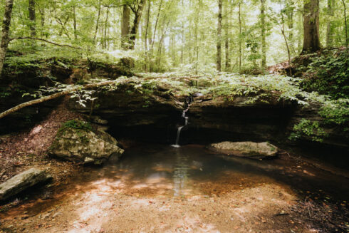 Hiking at White Oak Falls Tennessee