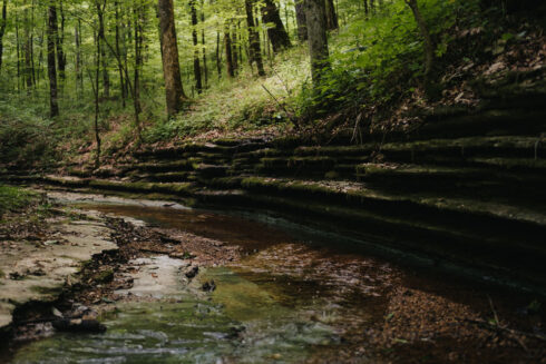 Hiking at White Oak Falls Tennessee