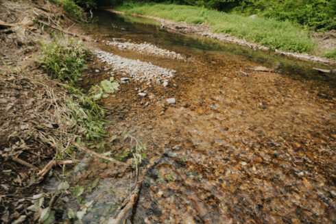 Outdoor Adventure Hiking in Tennessee