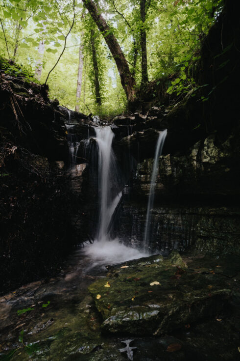 Nature at White Oak Falls Tennessee