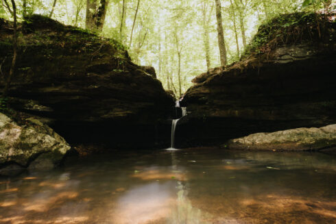 Nature at White Oak Falls Tennessee
