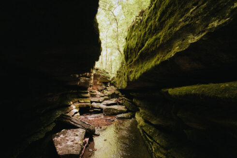 Nature at White Oak Falls Tennessee