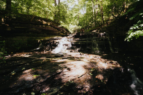Nature at White Oak Falls Tennessee