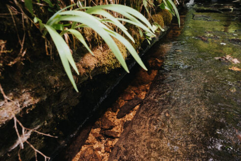Hiking at White Oak Falls Tennessee