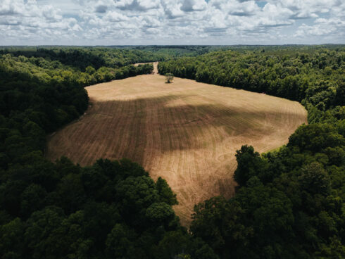 Nature at White Oak Falls Tennessee