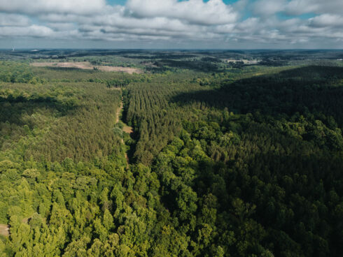 Whitetail Deer Hunting at White Oak Falls Tennessee