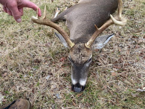 Whitetail Deer Hunting at White Oak Falls Tennessee