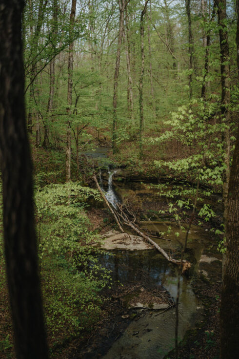 Off Grid Cedar Cabin at White Oak Falls Tennessee