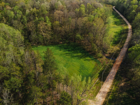 Nature at White Oak Falls Tennessee