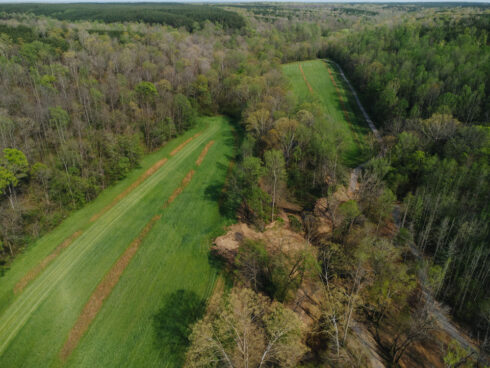 Nature at White Oak Falls Tennessee
