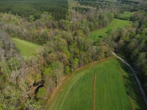 Nature at White Oak Falls Tennessee