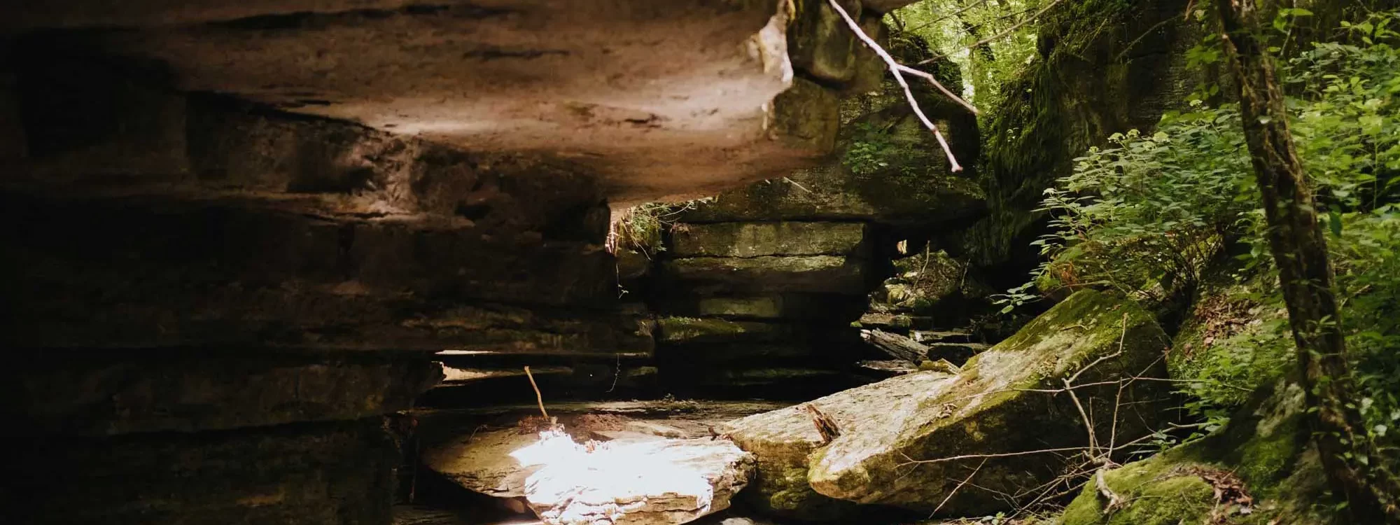 Hiking at White Oak Falls Tennessee