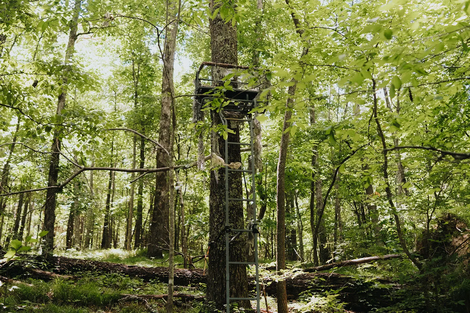 Hunting at White Oak Falls Tennessee