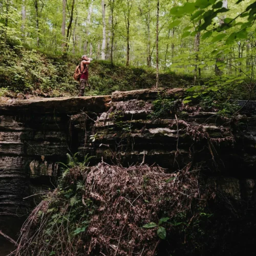 Hiking at White Oak Falls Tennessee